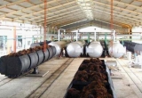 FFB (Fresh Fruit Bunch) of Oil Palm into CPO (Crude Palm Oil) Oil Mill Plant