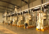 vegetable seed oil production line:oil press,oil extraction,oil refinery plant